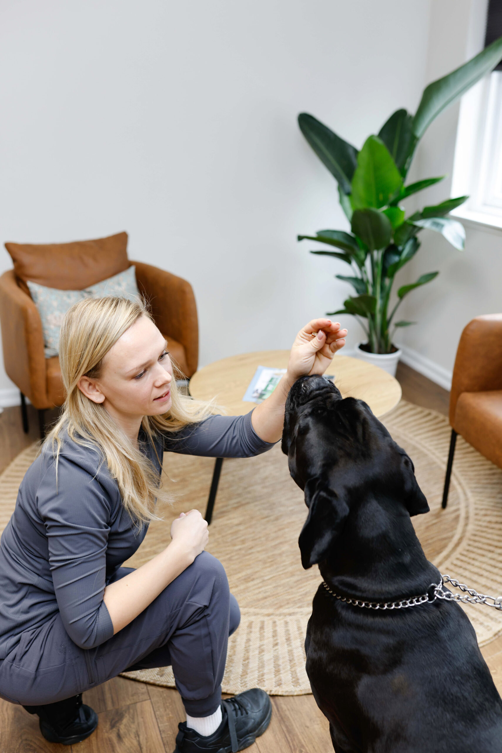 FaunaVet Dyreklinik