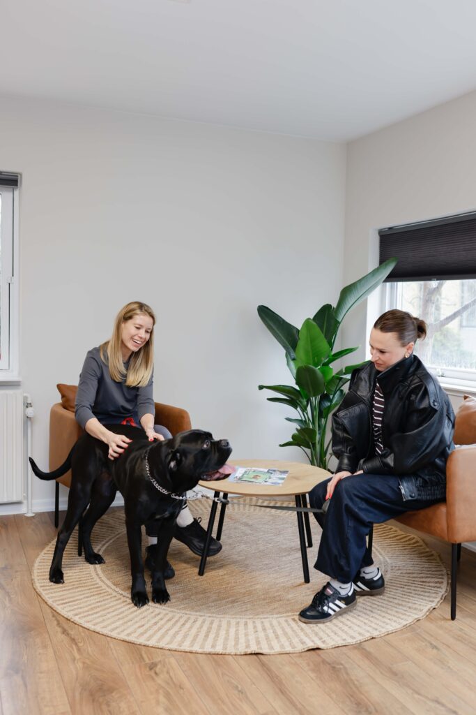 Konsultation hos FaunaVet Dyreklinik